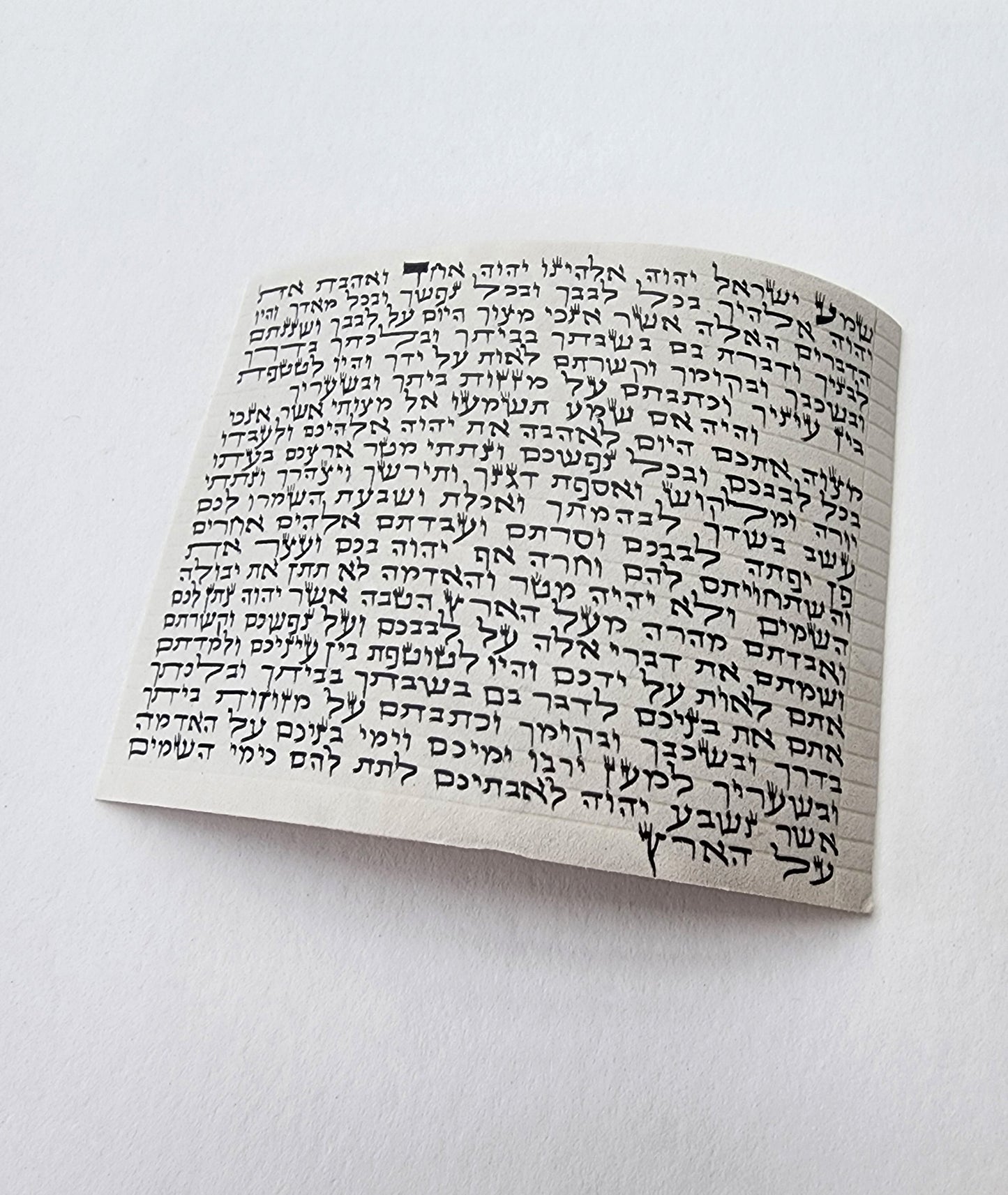 Phish - Phish Red Blazin' Donuts